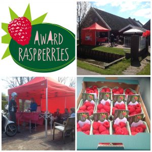 Award raspberries, De Lier